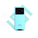 VIV0 X80